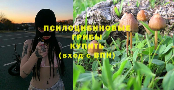 метадон Абинск